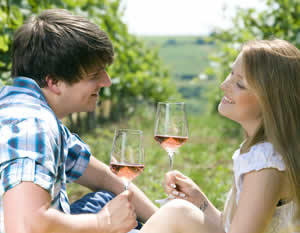 Winery Bus Tour to the Hill Country with Live Music, & BBQ